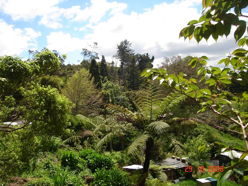 Sunny & Private Waikino Section Picture 1