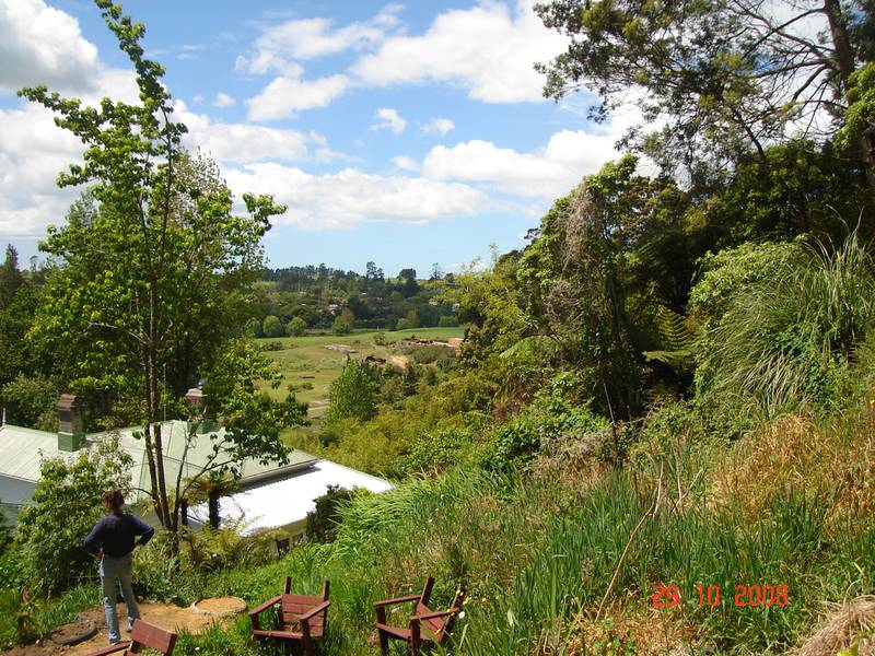 Sunny & Private Waikino Section Picture 3