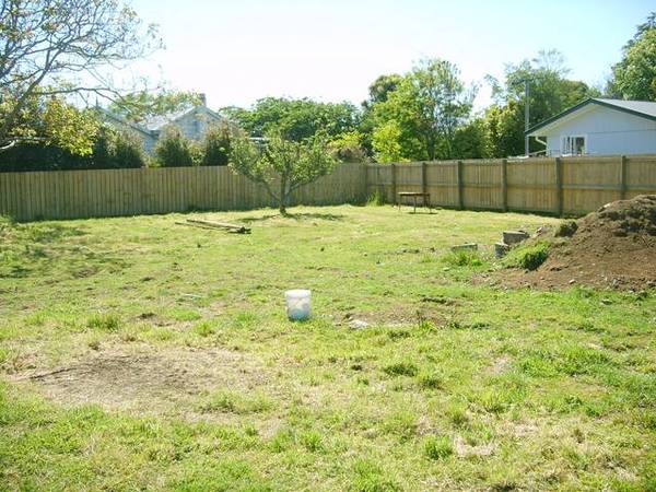 It's Your Choice Picture 3