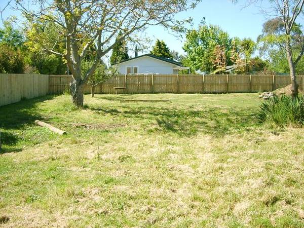 It's Your Choice Picture 1