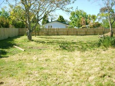 It's Your Choice Picture