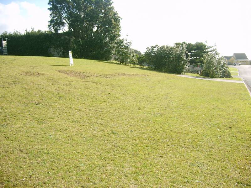 Hens Teeth! Picture 3