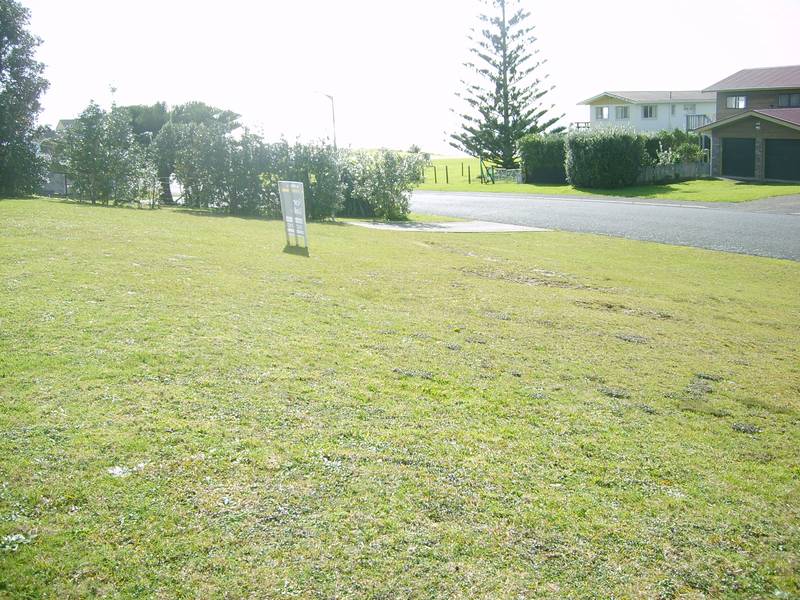 Hens Teeth! Picture 1