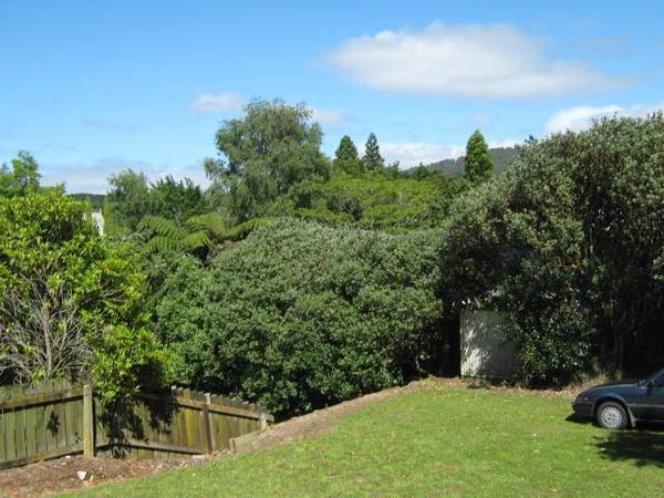 Cheap But Not Nasty Picture 3