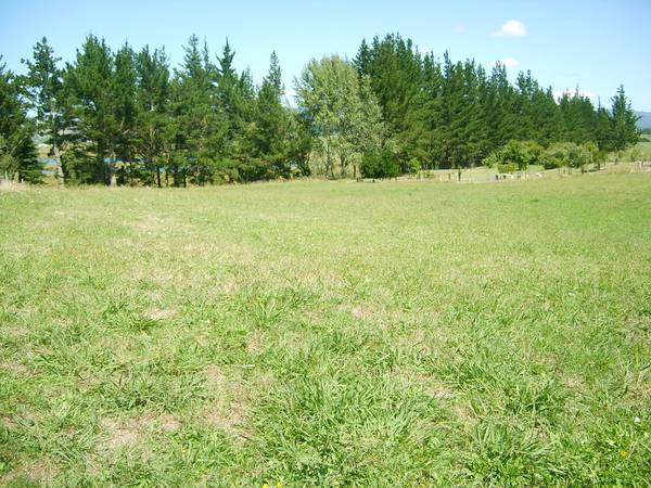 Lovely Lifestyle Land Picture 3