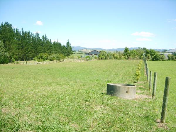 Lovely Lifestyle Land Picture 2