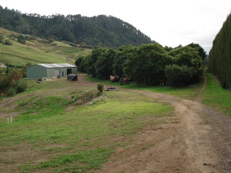 Prime Land With Income Picture 1