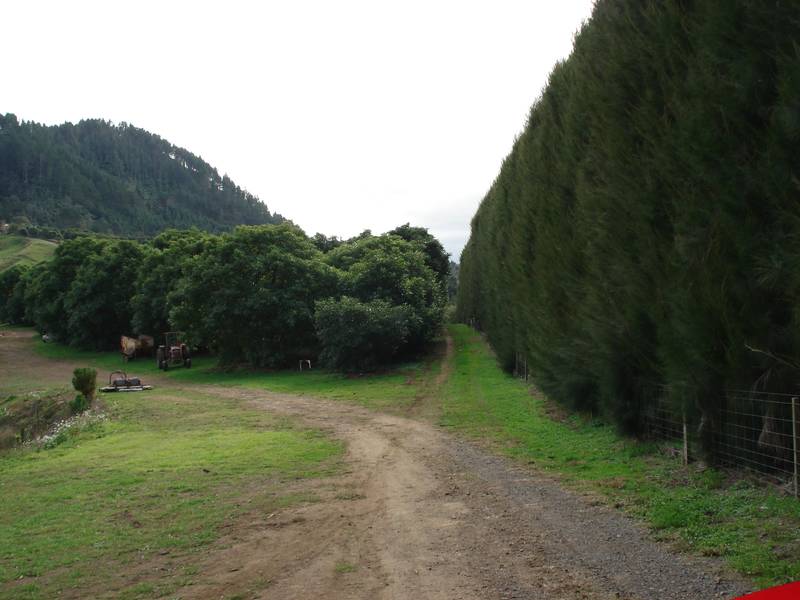 Prime Land With Income Picture 2