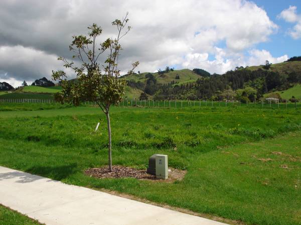 Rural Outlook Picture 1