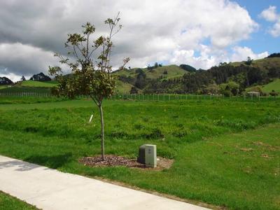 Rural Outlook Picture