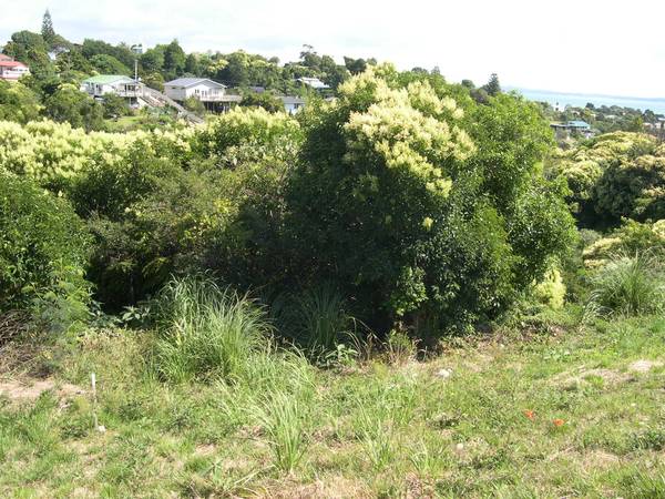 HUGE SEA VIEW SECTION Picture 3