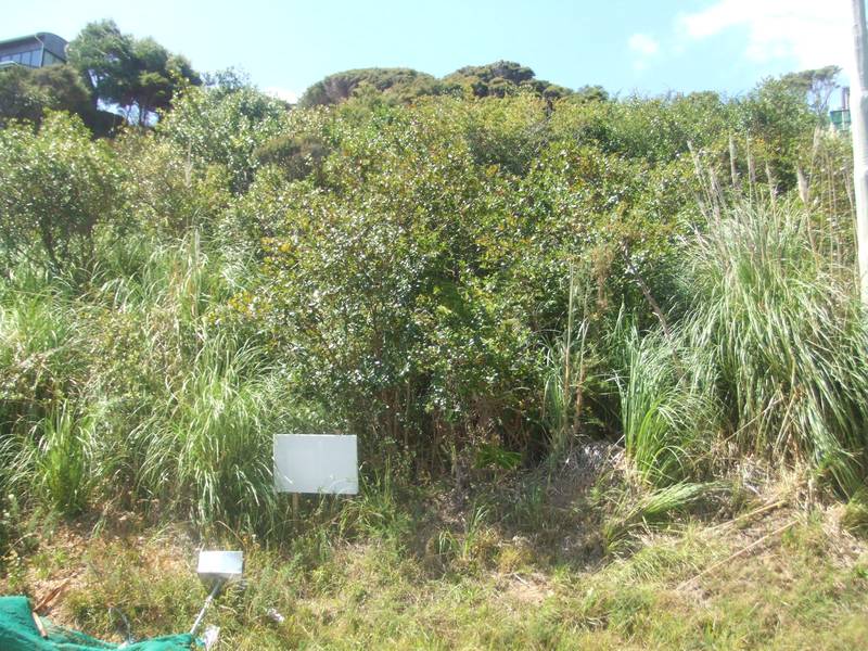 Northside Section Picture 2