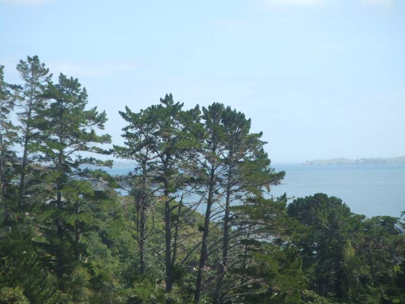 Northside Section Picture 3