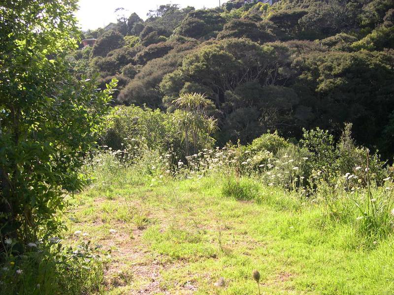 A PERFECT PIECE OF PARADISE Picture 1