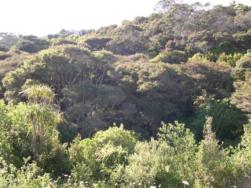 A PERFECT PIECE OF PARADISE Picture 3