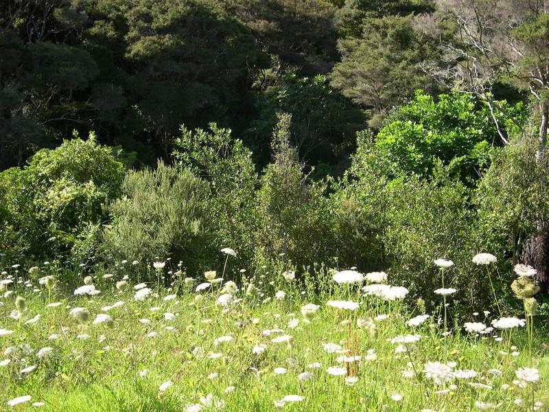 A PERFECT PIECE OF PARADISE Picture 2