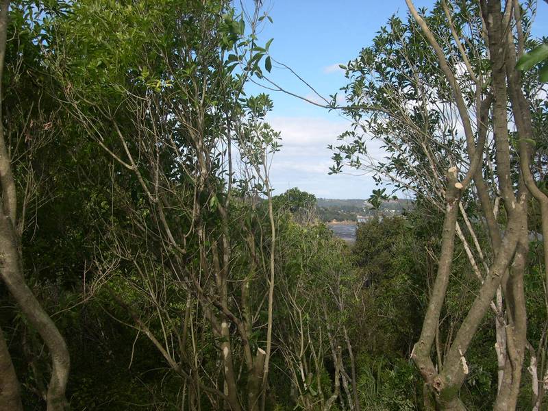 Prestigious Church Bay Road Section Picture 3