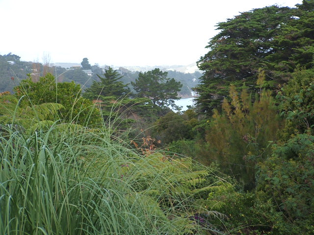 QUIET ONEROA SECTION Picture 1