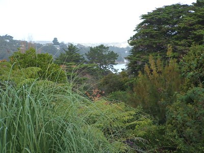 QUIET ONEROA SECTION Picture QUIET ONEROA SECTION Picture