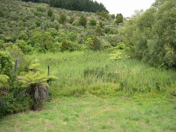 READY TO BUILD Picture 2