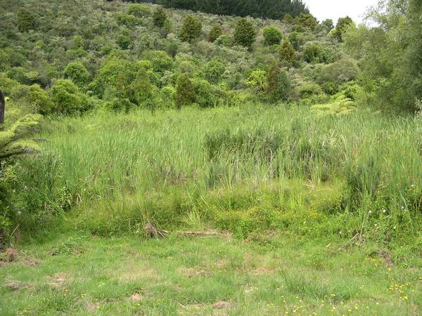 READY TO BUILD Picture 3