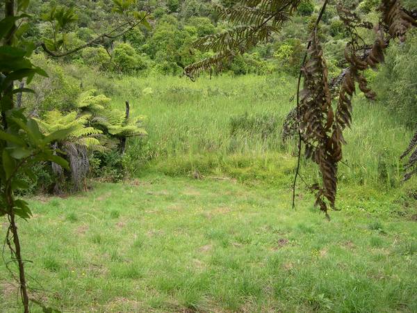 READY TO BUILD Picture 1