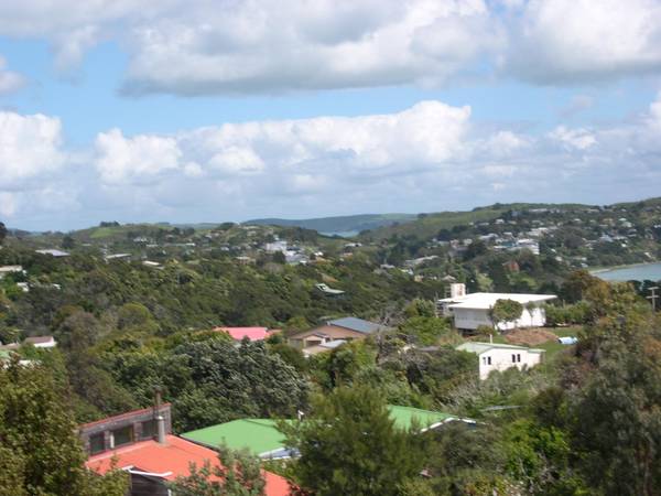 Section with views. Picture 3