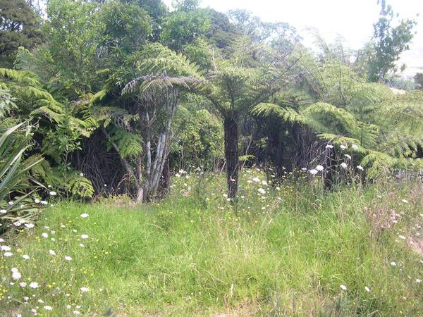 VIEWS ABOUND Picture 1