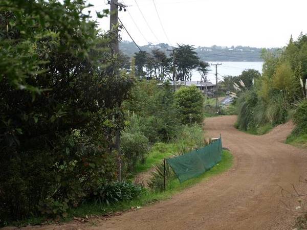 NEW TO THE MARKET Picture 2