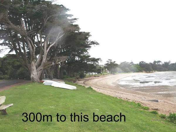 NEW TO THE MARKET Picture 1