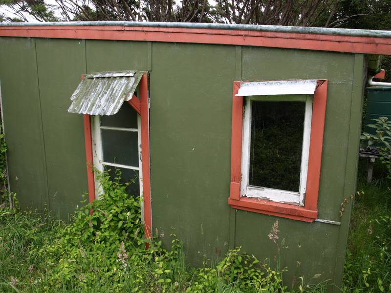 LITTLE ONEROA Picture 2