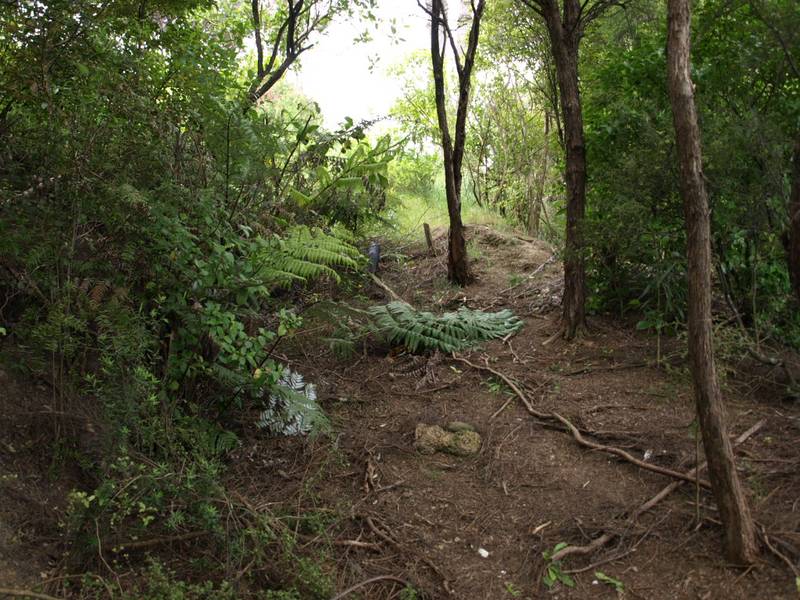 LITTLE ONEROA Picture 3