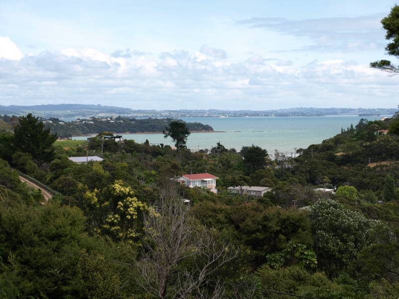 LITTLE ONEROA Picture 1