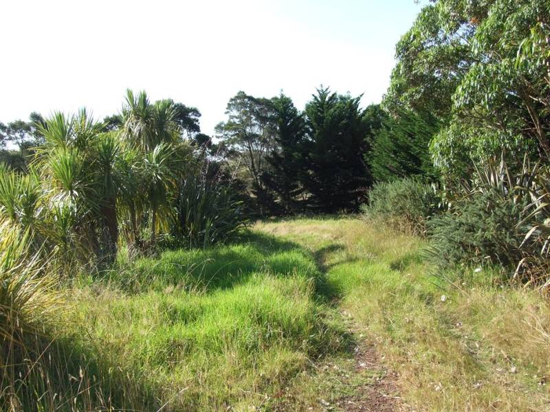 HUGE PIECE OF PRIVACY Picture 2