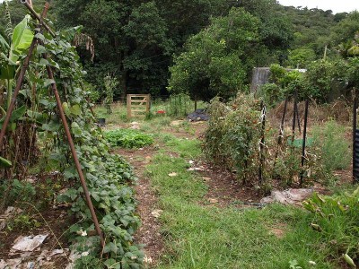 ROCKY BAY SEA VIEW Picture