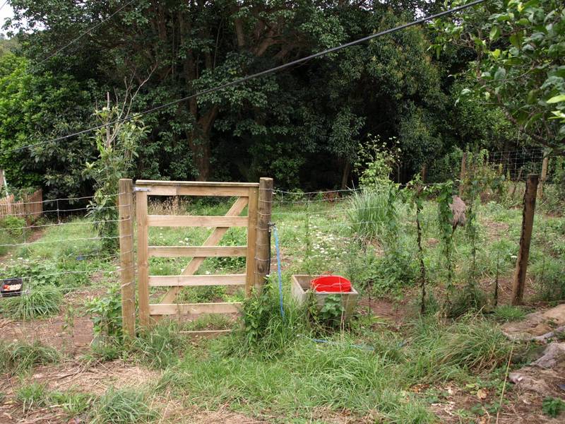 ROCKY BAY SEA VIEW Picture 3