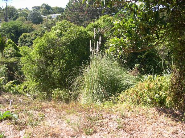 PALM BEACH PROXIMITY Picture 3