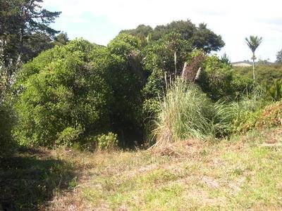 PALM BEACH PROXIMITY Picture PALM BEACH PROXIMITY Picture