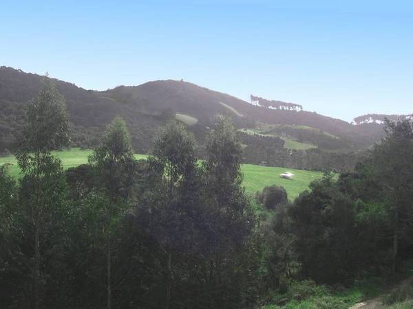 PICTURESQUE AND HISTORICAL TE MATUKU BAY Picture 3