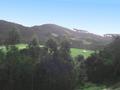 PICTURESQUE AND HISTORICAL TE MATUKU BAY Picture