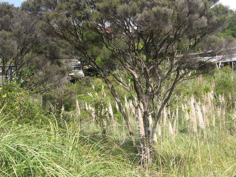 OH, SO CLOSE TO THE WATER Picture 1