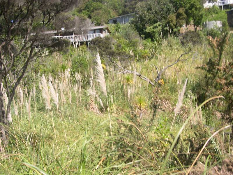 OH, SO CLOSE TO THE WATER Picture 2