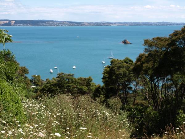 ROCKY BAY SECTION Picture 1