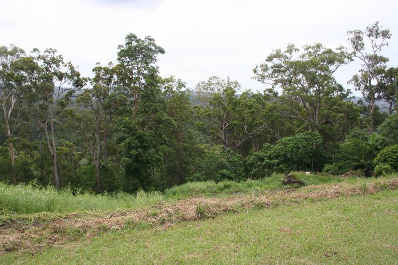 Exceptional Value, Vacant Land Picture 3