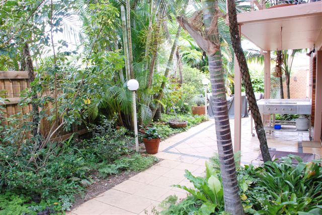 LIKE A HOUSE Picture 3