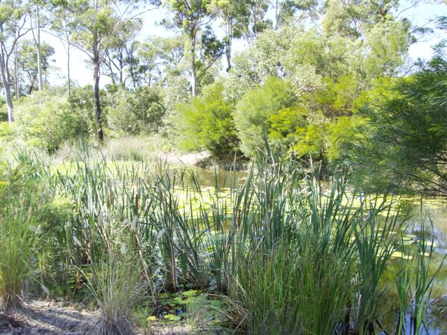 Bright, Spacious, Easy Living Picture 2