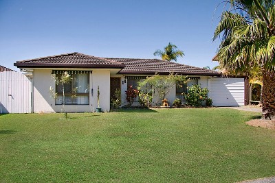 Great Starter Picture