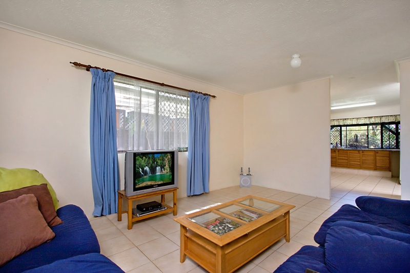 Great Starter Picture 2