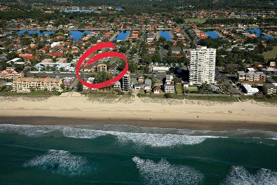 Palmy Bargain Picture