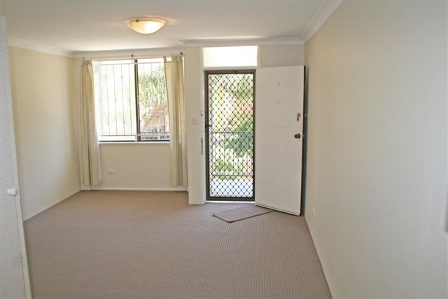 Palmy Bargain Picture 2